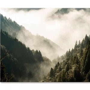 Fog In Forest Morning Scene Mountain  Print 100% Australian Made 120 x 90cm  (Stretched)