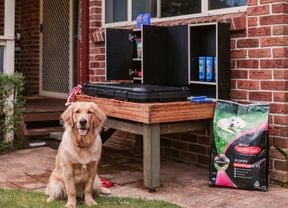  A golden retriever sits on a lawn beside a raised wooden dog-wash station with storage shelves, dog shampoo bottles, and grooming supplies, set against a brick house wall.