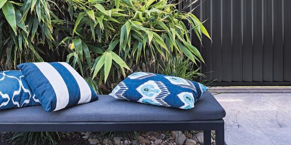 close up of outdoor bench and bamboo