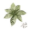 Catzon 12 Pcs Glitter Christmas Flowers with Clips Artificial Poinsettia-Green