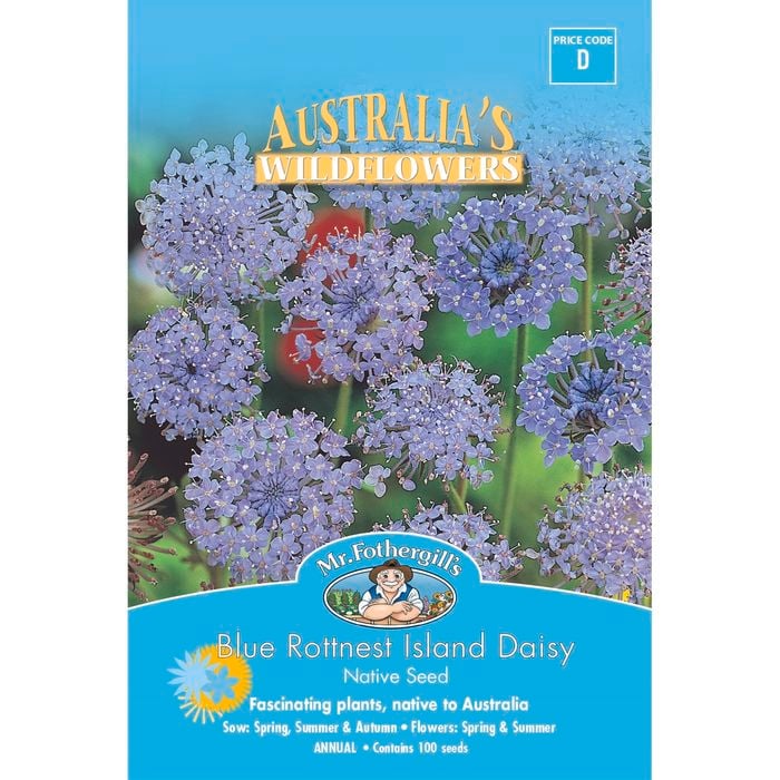 Mr Fothergill's Blue Rottnest Island Daisy Flower Seeds