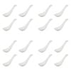 16pc Ecology Fine Bone China Canvas Soup Spoons - White