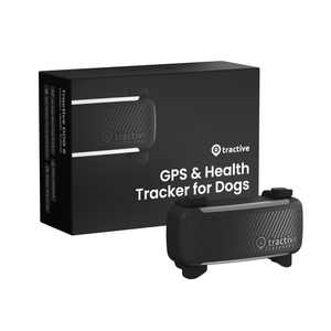 Tractive Dog 6 Black - Real-Time GPS Tracker