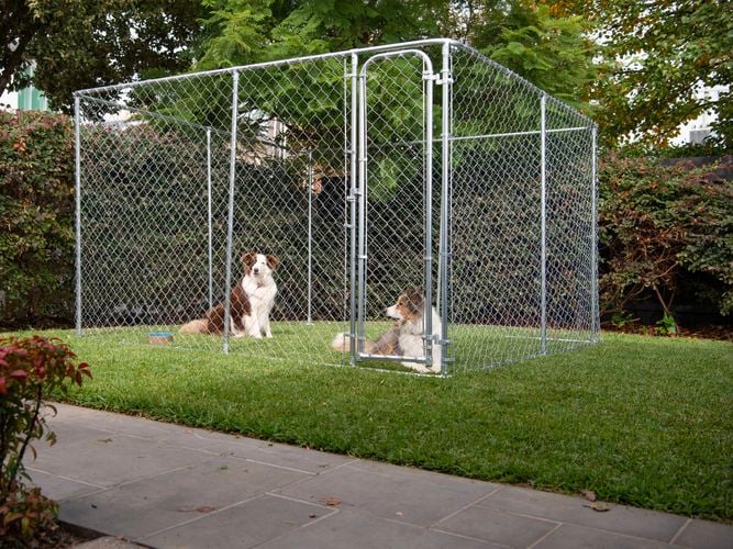 Rapid Products - Gallery - pet product image 2