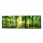 Heart Of The Forest | 150 x 50cm Stretched Canvas Print