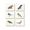 Cinnamon Cork Backed Coasters Set of 6 - Away with the Birds