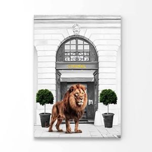 Lion Stand Front Fashion Store Print 100% Australian Made 50x75cm (Stretched Canvas)