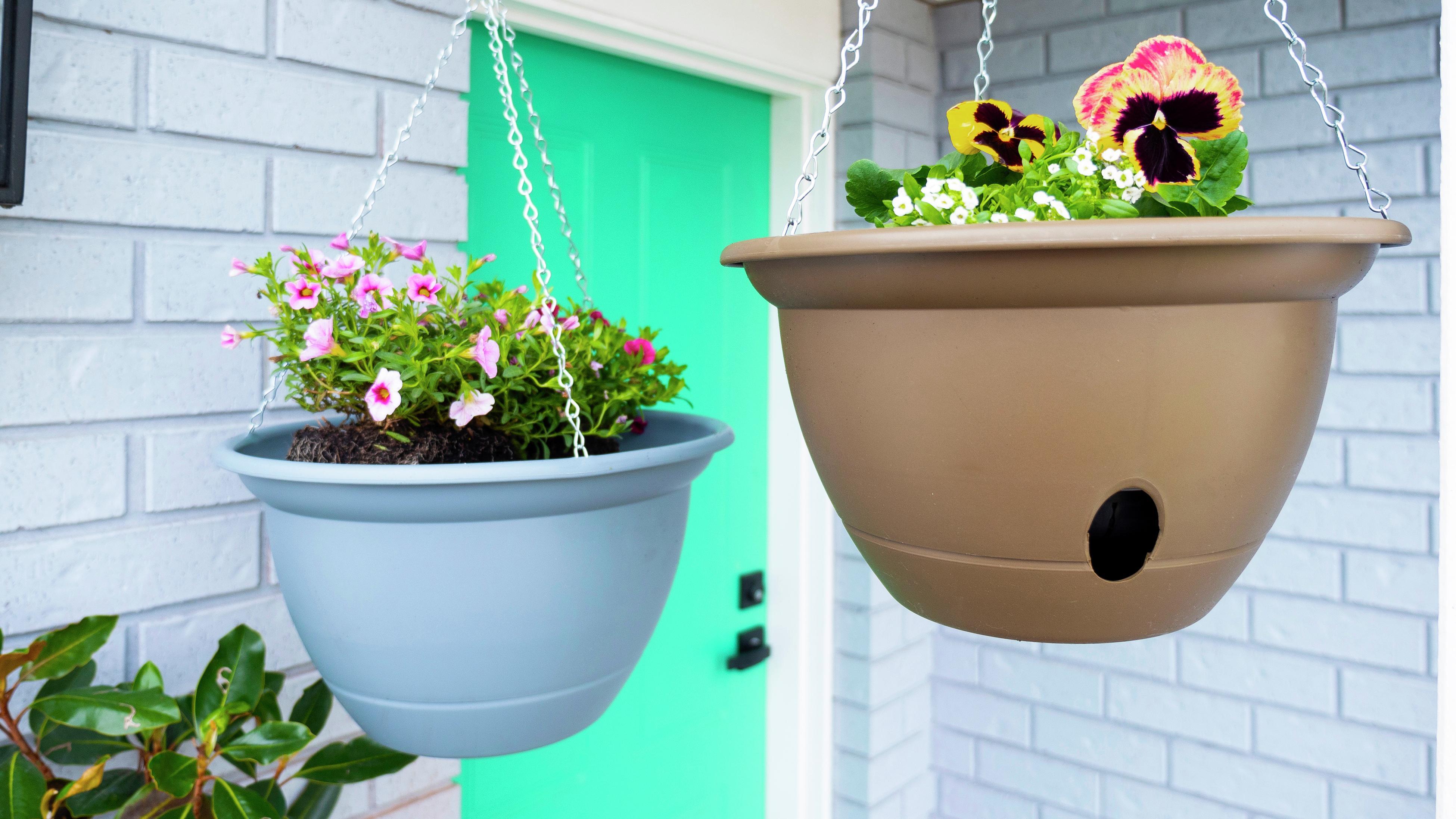 Bloem Lucca 13 In. Black Plastic Self-Watering Hanging Basket Planter LHB1300 - The Home Depot - Foto 4