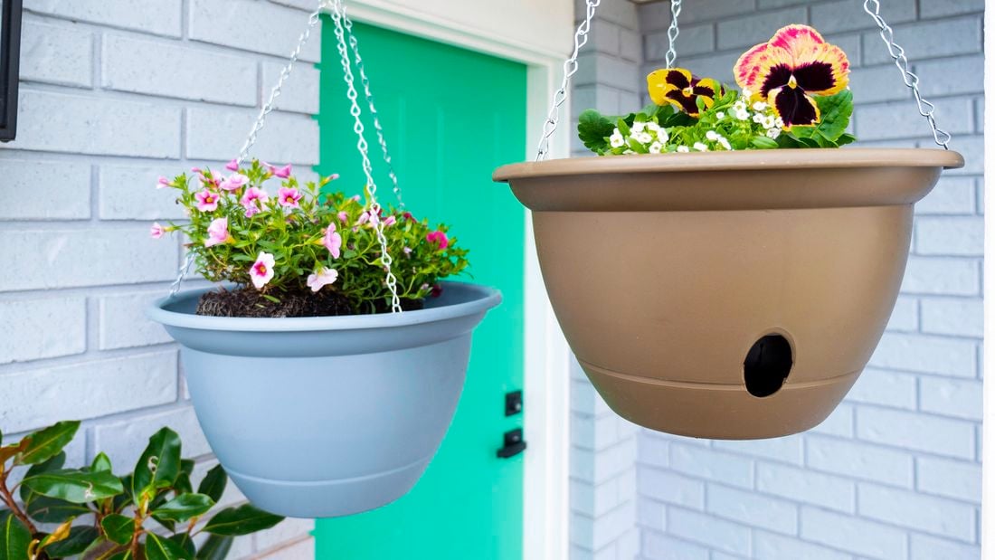 Pots with flowering plants hanging from the roof.