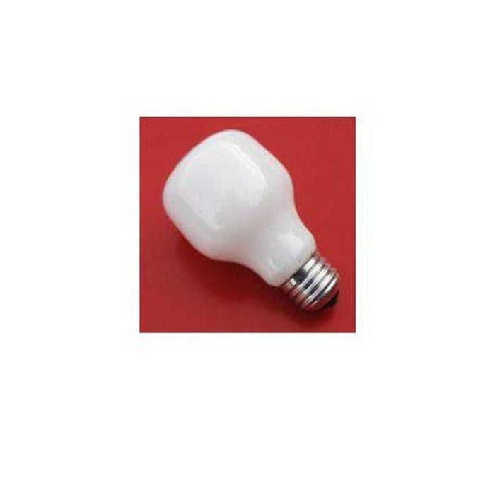 Paterson Enlarger Lamp 75w 230/240v Screw in Base