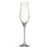 Salt & Pepper Cuvee Champagne Flutes 210ml - Set Of 6