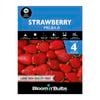 Bloomin' Bulbs Strawberry Melba - 4 Pack