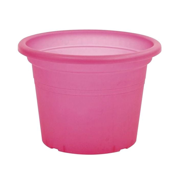 EDEN 25cm Red Transparent Cylinder Planter
