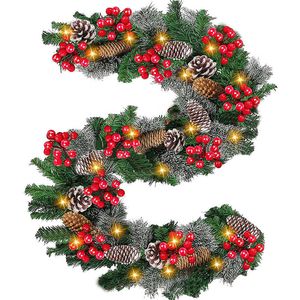 Catzon 9FT Christmas Garland with LED Lights & Berries-Warm Lights