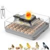 Advwin 48 Eggs Incubator Auto Precision Humidity Control System Turning Eggs LED Candle