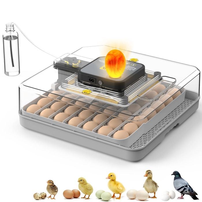 Advwin 48 Eggs Incubator Auto Precision Humidity Control System Turning Eggs LED Candle