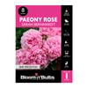 Bloomin' Bulbs Paeony Rose - Sarah Bernhardt - 1 Pack
