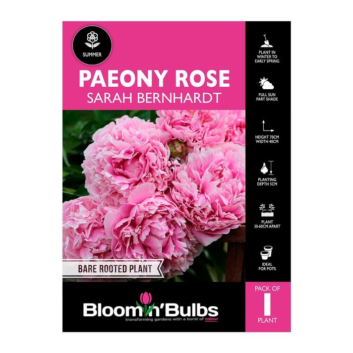 Bloomin' Bulbs Paeony Rose - Sarah Bernhardt - 1 Pack
