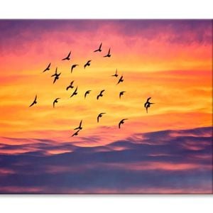 Birds Flying into Sunset Sky   Print 100% Australian Made 75 x 50cm  (Stretched)
