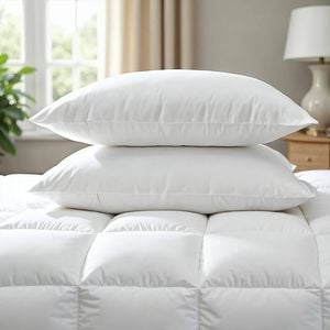 Goose Feather & Down Quilt 500GSM + Pillows 2 Pack White Double
