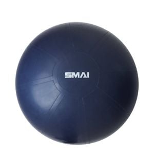 Smai Commercial 65cm Gym Ball - Purple