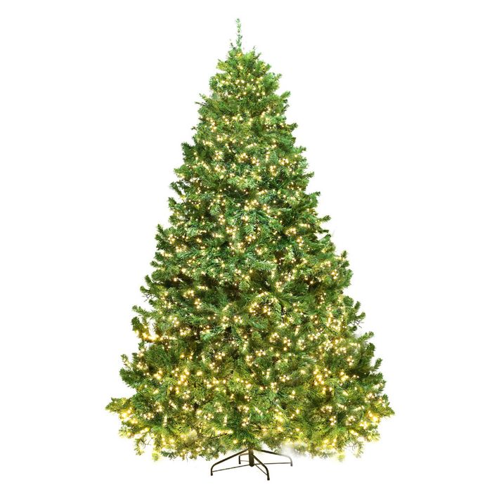 Jingle Jollys Christmas Tree 1.8M 6FT LED Light Pre Lit Green