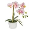 Astin Sinclair 300mm Pink Artificial Orchid in Ceramic Pot