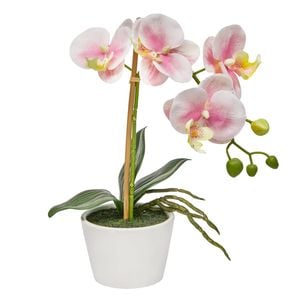 Astin Sinclair 300mm Pink Artificial Orchid in Ceramic Pot