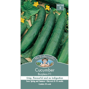 Mr Fothergill's Burpless Cucumber Vegetable Seed