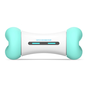Cheerble Wicked Bone SE Interactive Mint Dog Toy - Mint