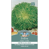 Mr Fothergill's Endive Vegetable Seeds