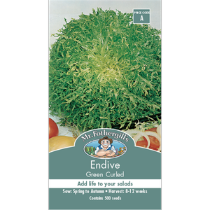 Mr Fothergill's Endive Vegetable Seeds