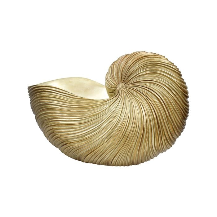 Decorative Resin 35cm Nautilus Shell Decor XL - Gold