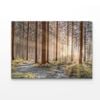 Forest With Sunrays  Print 100% Australian Made 150 x 100cm  (Acrylic)