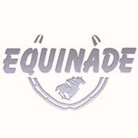 Equinade