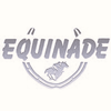 Equinade