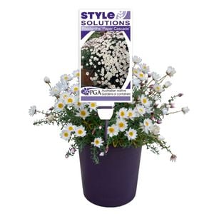 Native Trees & Shrubs