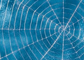 Close up of a spider's web with a blue background.