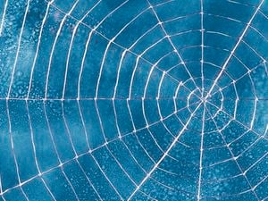 Close up of a spider's web with a blue background.