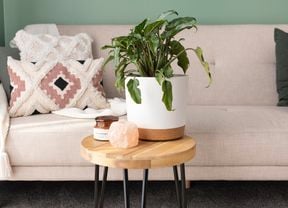 A philodendron plant on a small table.
