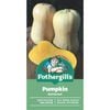 Fothergill's  Butternut Pumpkin Vegetable Seeds