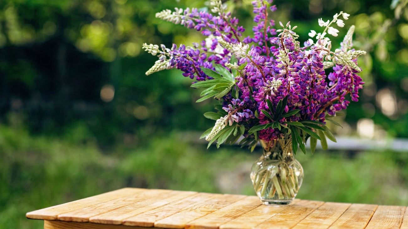 A vase of purple lupin flowers on a wooden outdoor table