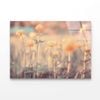 Spring or Summer Flowers   Print 100% Australian Made 120 x 90cm  (Acrylic)