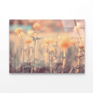 Spring or Summer Flowers   Print 100% Australian Made 120 x 90cm  (Acrylic)
