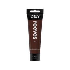 Reeves 100ml Raw Umber Intro Paint 