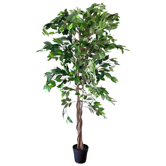 UN-REAL 180cm Artificial Ficus
