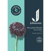 Johnsons Curated For Cutting Pincushion Flower Black Night