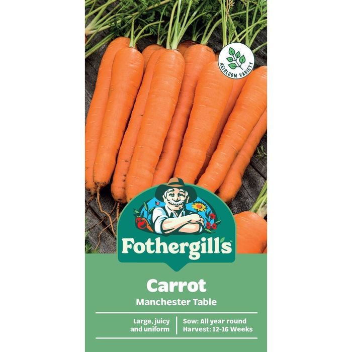 Fothergill's Carrot Manchester Table Vegetable Seeds