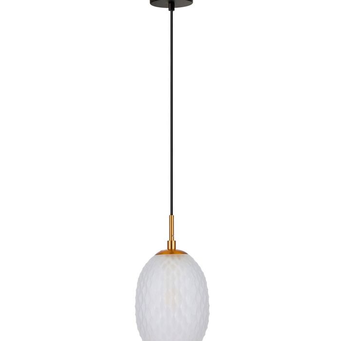 CLA Lighting Kathal Interior Ellipse Glass Segmented with Brass Highlight Enclosed Pendant Light Frosted