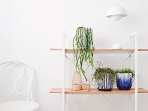 Pots on a display shelf